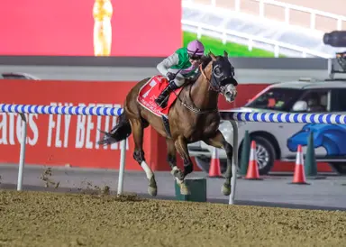 Another Saudi Cup defection: Laurel River out with minor injury