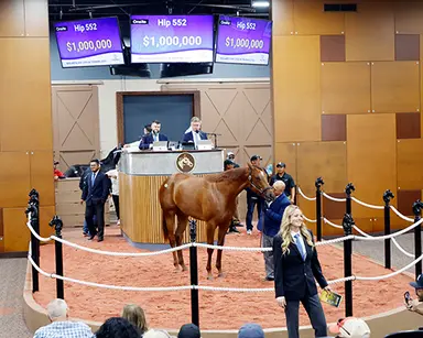 Fasig-Tipton Midlantic median ties record