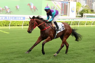 Vincent Ho resumes with high hopes for Dream Winner