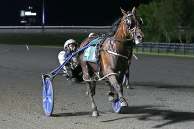Woodbine Mohawk Park: North America Cup is more than a two-horse race