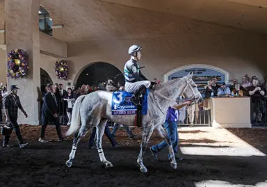 Lovesick Blues among Cal-bred Horse of the Year finalists