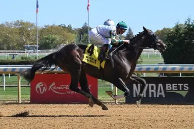 National Identity goes for fourth straight after throat surgery