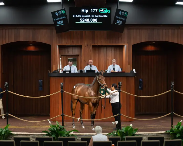 OBS Oct 2025 - Hip 177 - 2.jpg