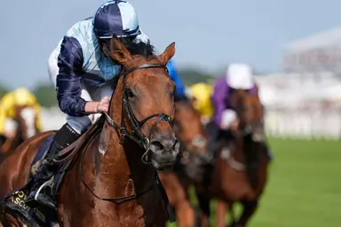 New Ground should handle distance in Grand Prix de Paris