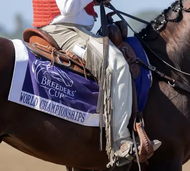 November betting handle down from last year, but there's a catch