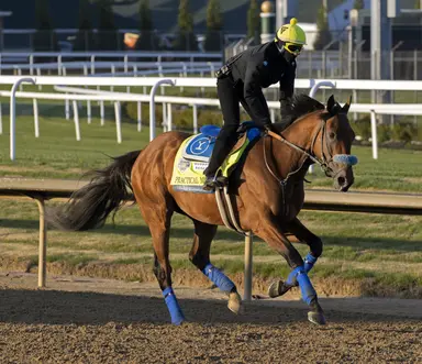 Kentucky Derby: Practical Move scratches; Cyclone Mischief gets into field