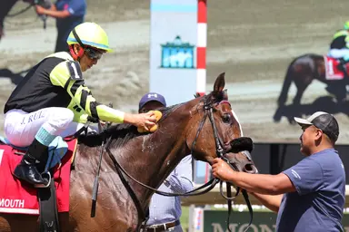 Trainer Motion targets Breeders' Cup for his group of stakes winners