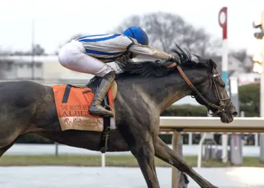 Kentucky Derby pedigree profile: Albus