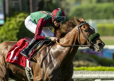 Favored Grand Slam Smile will take some catching in Fran's Valentine