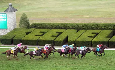 DRF's Horse Racing Playbook for Wednesday, April 26, 2023