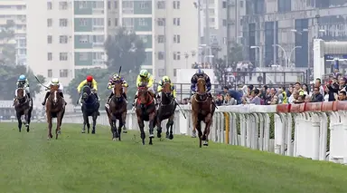 Luke Middlebrook's Hong Kong Selections and Analysis for Sunday, April 12, 2026