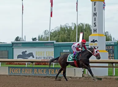 Fewer dates should mean fatter fields as Fort Erie meet opens