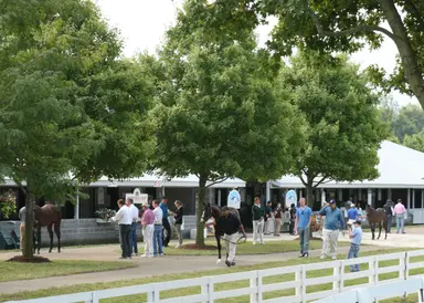Massive Keeneland September catalog poses challenge of unearthing talent