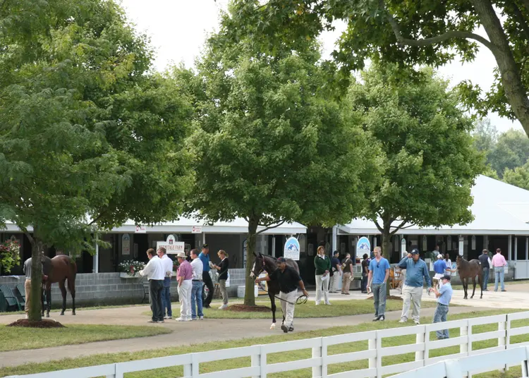 Keeneland September sale