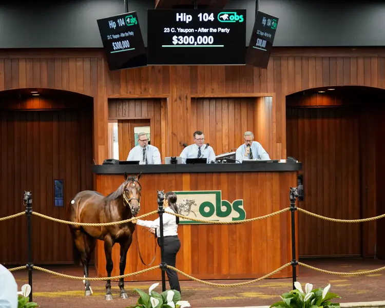 OBS June 2025 - Day 1 - Hip 104.jpg