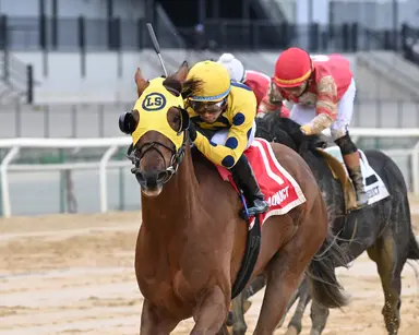 Top N.Y. sire Central Banker has a pair in Commentator Stakes