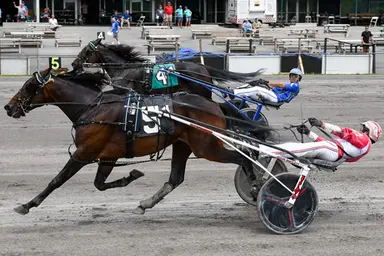 Meadowlands: Contenders aplenty in Hambletonian and Oaks eliminations