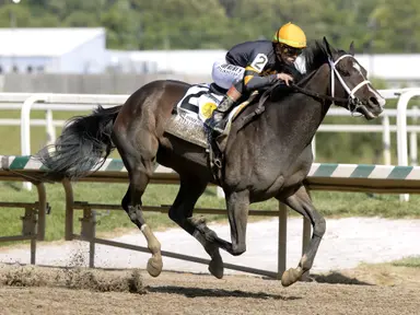 Allaire duPont Distaff: Margie's Intention  wins Preakness eve stakes for second straight year