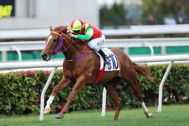 Jumbo Treasure chases city riches at Happy Valley