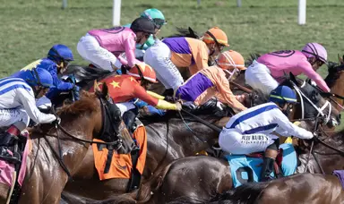 Handle falls 8% in February; total number of races down 11.3%