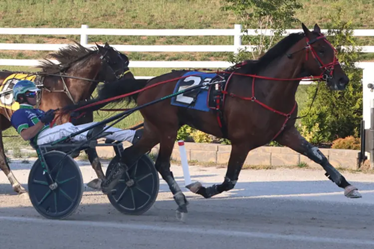 Endurance 5-4-26