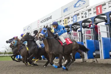 DRF's Horse Racing Playbook for Thursday, September 26, 2024