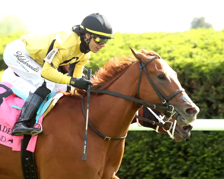 REB FIVE - The Palisades - 04-19-26 - R08 - Keeneland Race Course - Tight Finish 01 - Rick Bailey.jpg