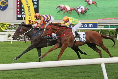 Fownes has high hopes for Straight Arron ahead of Sha Tin return