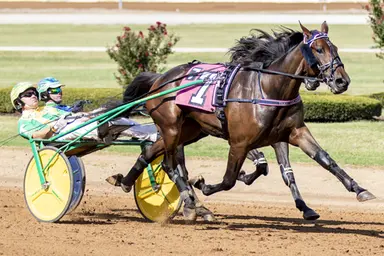 Meadowlands: Southwind Chaska hopes to speed into Hambletonian Oaks final