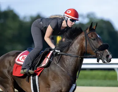 Australia: Private Eye takes on former North American stars in Lawrence Stakes