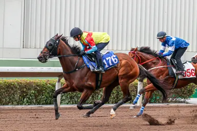Wellington works well ahead of Jockey Club Sprint return for Jamie Richards