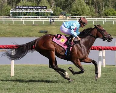 Sunna extends perfect turf record with front-running score in the The Very One
