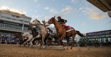 Handle down for Pegasus World Cup card