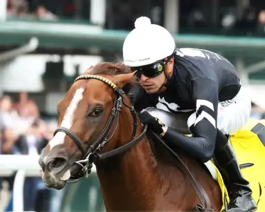 Hernandez has three mounts for Ward during Royal Ascot meet