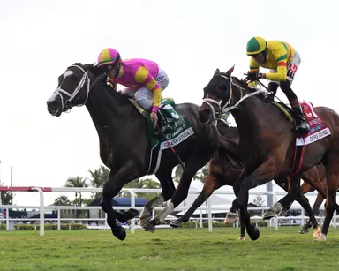 Grand Sonata, Just Basking notch surprise wins in Mac Diarmida, The Very One