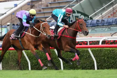 Romantic Warrior seeks FWD QEII Cup history before stiff Tokyo test