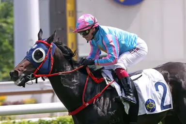 Healthy Happy seeks Group 3 Celebration Cup repeat