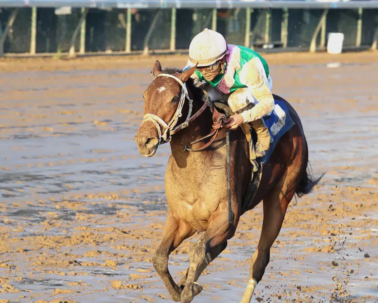 Marjoram wins maiden at CD Nov 22 2025