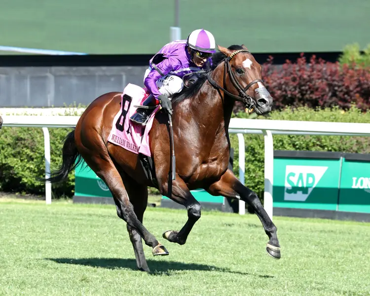 OUTFIELDER - The William Walker - 05-09-26 - R10 - Churchill Downs - Finish 05 - Cady Coulardot.jpg
