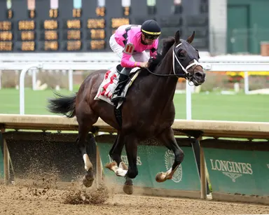 Preakness berth on the line in Bathhouse Row