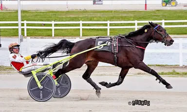 Harness: Trotting filly Faster Horses seeks 2-for-2 start in Ohio Sire Stakes at Northfield Park
