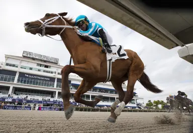 Mage back to work for next Kentucky Derby prep