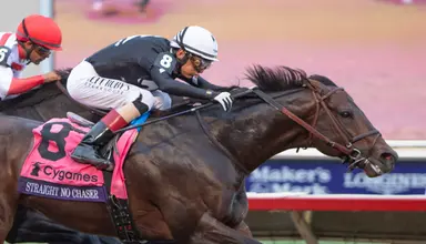 Champion Straight No Chaser leads WinStar's sprint trio