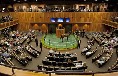 Special Edition: 2023 Saratoga Yearling Sales, presented by Stonestreet
