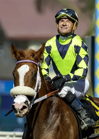 Ordonez has springtime stakes on deck for Vodka Vodka, Om N Joy