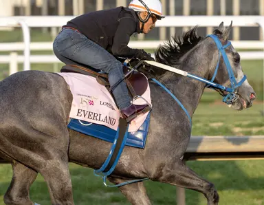 Hard work paying off for Foster with Everland in Kentucky Oaks