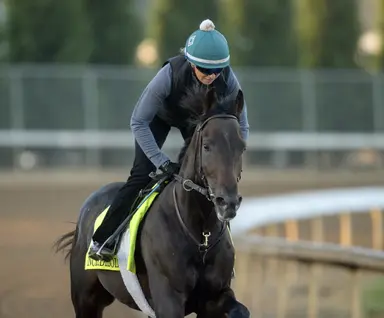 Preakness 2026: Late addition Incredibolt tabbed among favorites in field of 14