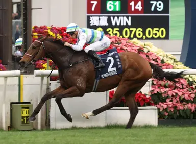 Voyage Bubble to bid for more G1 LONGINES Hong Kong Mile glory