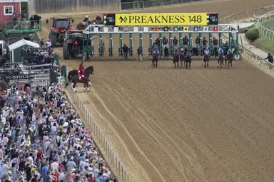 1/ST Racing announces owner bonus program for Preakness, California Crown, Pegasus World Cup