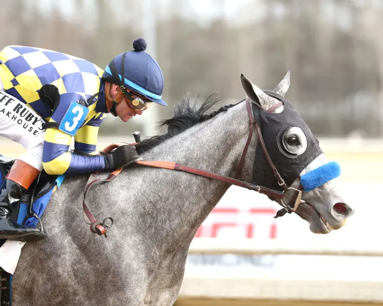 BOTTLE OF ROGUE - The Virginia Oaks - 03-14-26 - R08 - Colonial Downs - Finish 02 - Charlotte Camp.jpg